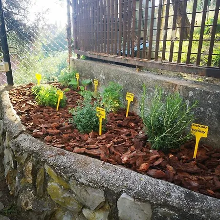 Il Leudo